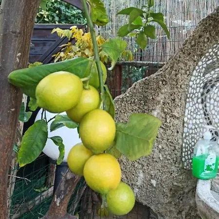 Casa Degli Scultori Apartmán Crotone